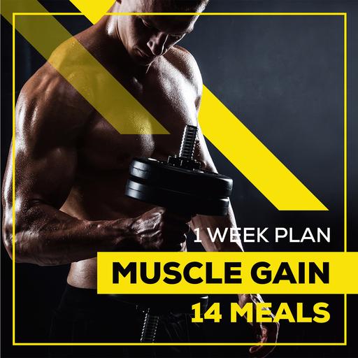 weight loss meal plan 1 WEEK MUSCLE GAIN 14 MEALS