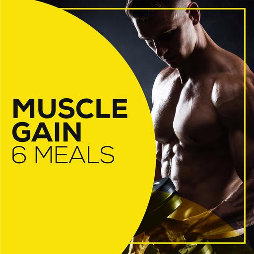 weight loss meal plan MUSCLE GAIN 6 meals