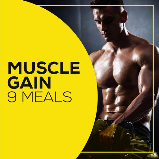 weight loss meal plan MUSCLE GAIN 9 meals